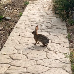 Meet your Posher, Serena